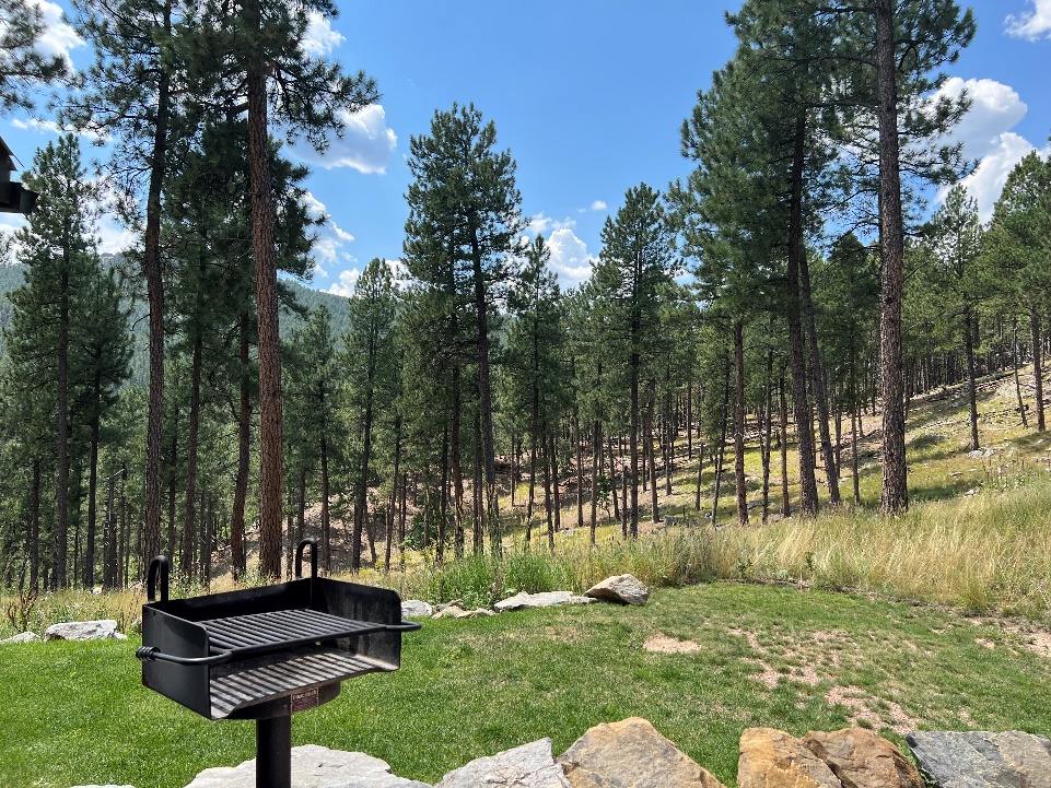 Kemp's Kamp - Photo of Cabins