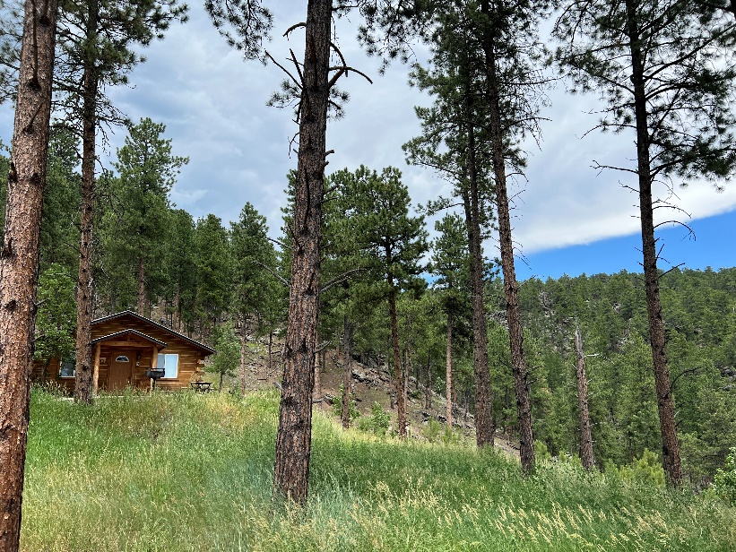 Kemp's Kamp - Photo of Cabins