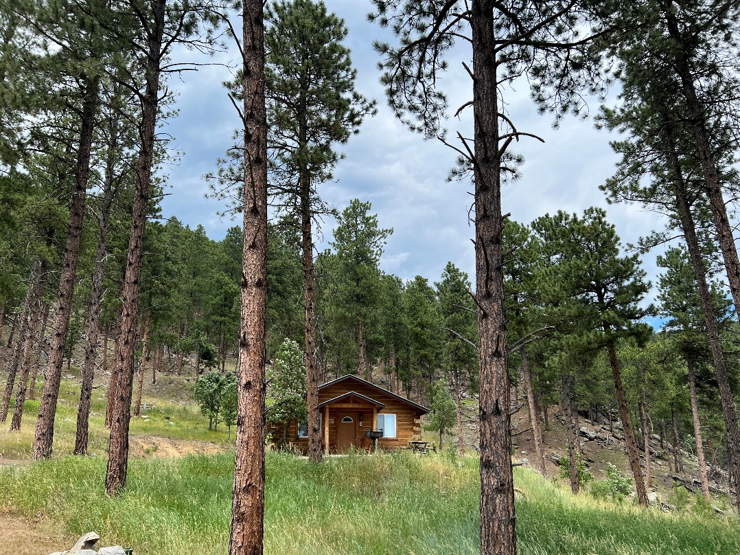 Kemp's Kamp - Photo of Cabins